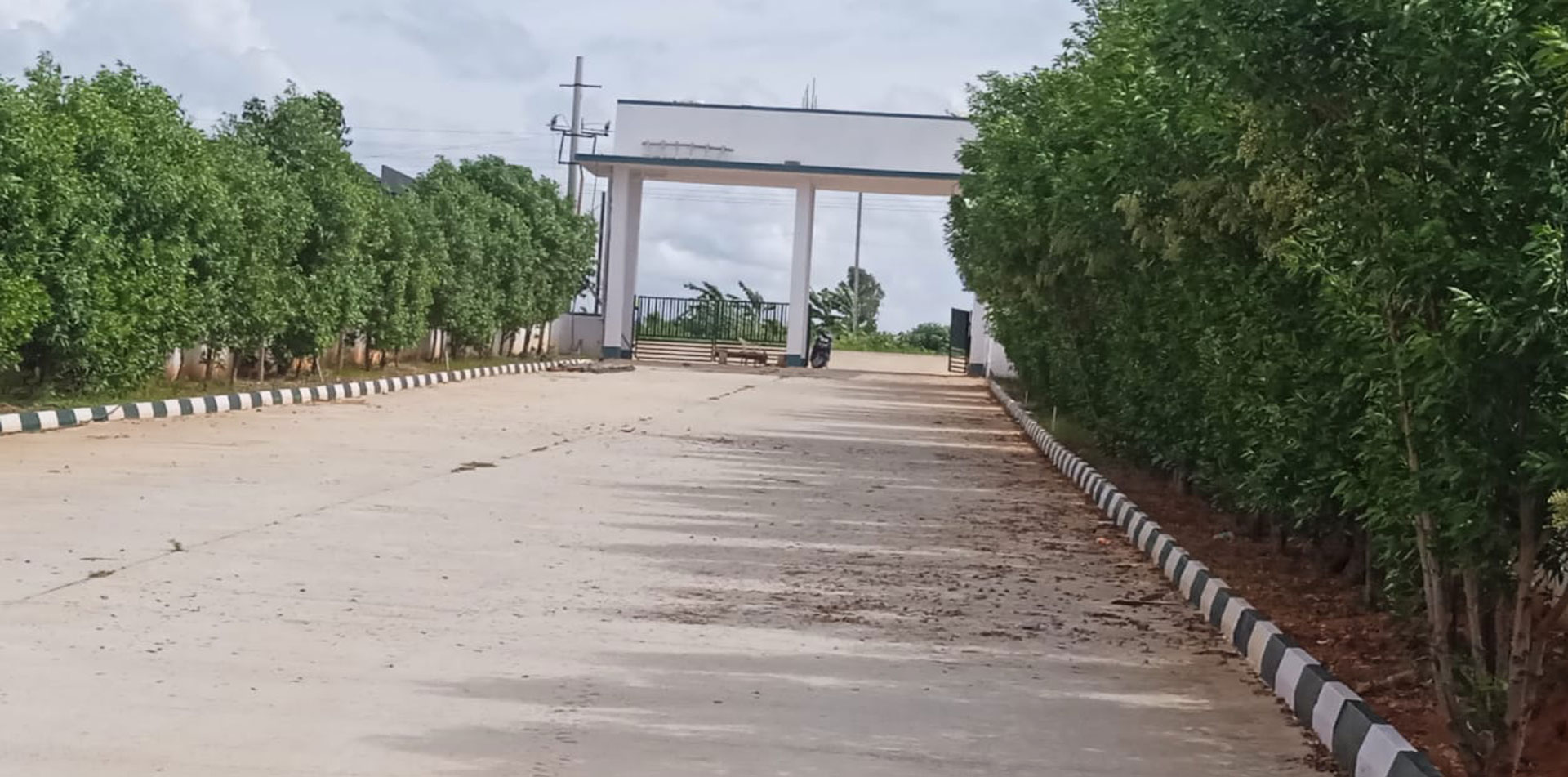 Villas Plots for Sale in devanahalli from vjproperties.in